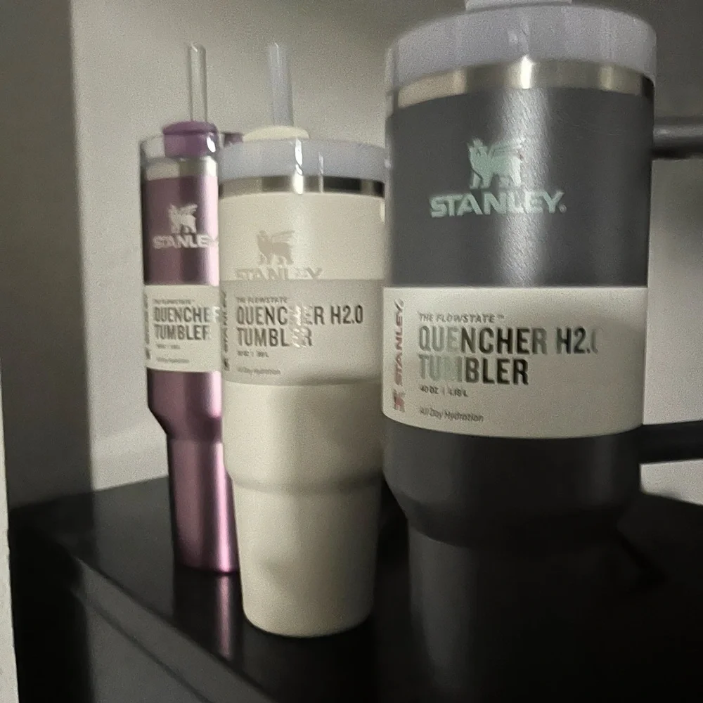 Stanley water bottle THE QUENCHER H2.0 FLOWSTATE™ TUMBLER | 40 OZ Charcoal